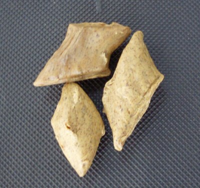 CEROTE DE ZAPATERO