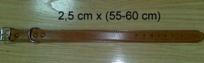 COLLAR PERRO CUERO 2,5CM LARGO (55-60)