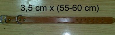 COLLAR PERRO CUERO 3,5CM LARGO (55-60)